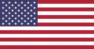 american flag-Temple