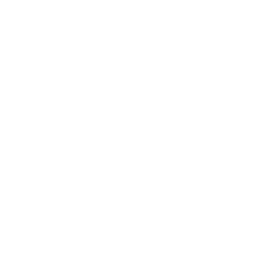 ce logo Temple