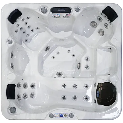 Avalon EC-849L hot tubs for sale in Temple